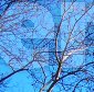 NewYork2008