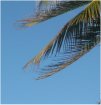 Cuba2009